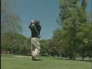 Mike Austin swing