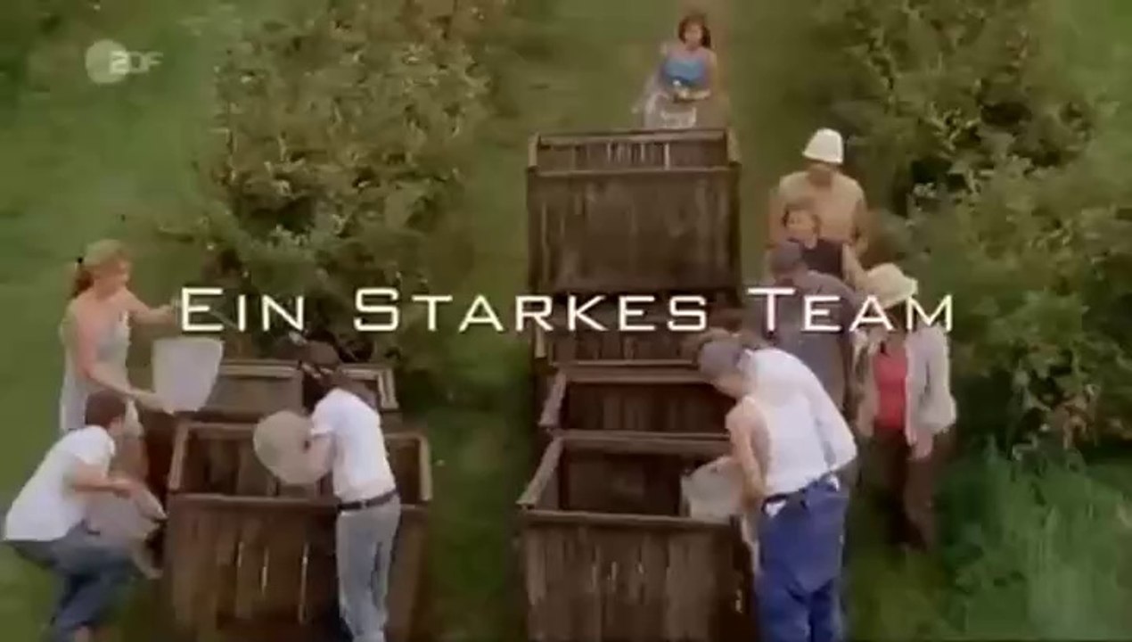 Ein starkes Team -36- Blutige Ernte