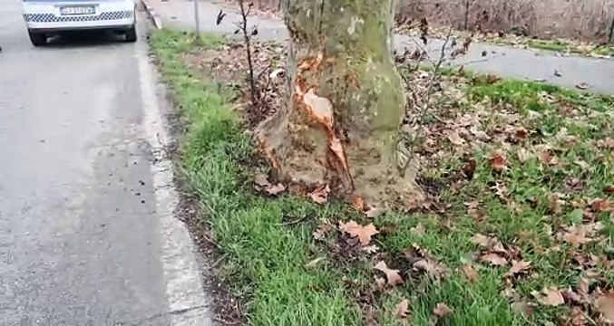 Sbanda in auto con la figlia e finiscono nel canale