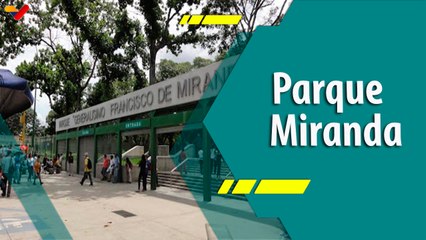 Punto Verde | Tesoros Naturales en el Corazón de Caracas.