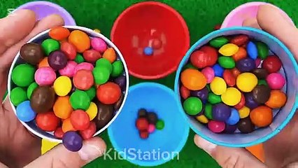 Whimsical Wonders' Colorful Bounty of Fun and Entertainments