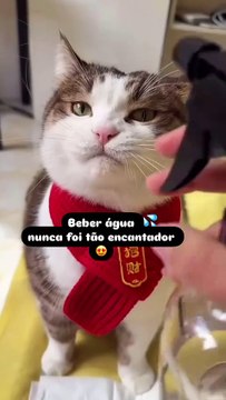 Funny Reactions to Magic Tricks Gone Wrong!