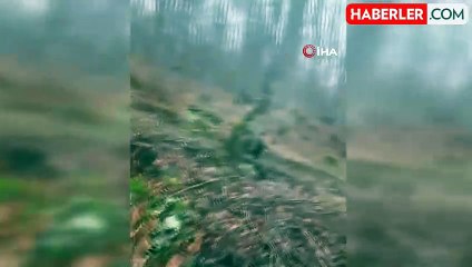 Domuz Avında Korku Dolu Anlar