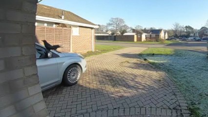 Woman uses Ring Doorbell's 'remote scarecrow' feature to save car from crows