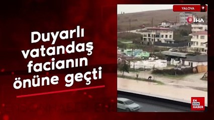 Yalova'da duyarlı vatandaş facianın önüne geçti