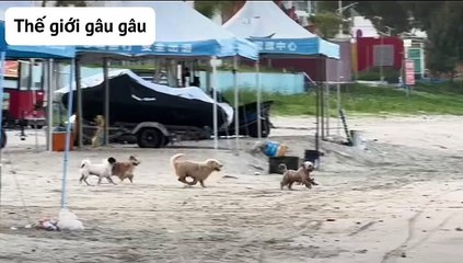 You can go anywhere, as long as you go together