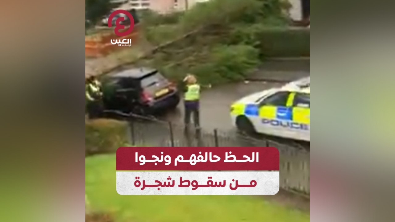 الحظ حالفهم ونجوا من سقوط شجرة