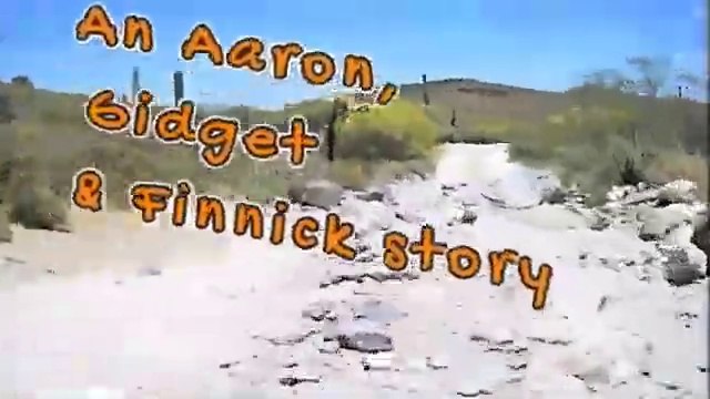 Discovering Arizona With Finnick_ Our Story & Off-Road Mountain Expeditions! _ A&G Adventures