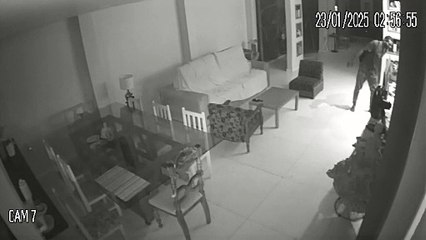 Cadela impede assaltante de invadir casa na Parquelândia, em Fortaleza