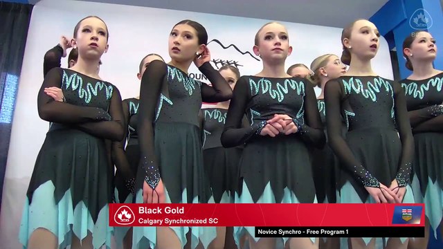 Novice Synchro Free Program 1 - 2025 Mountain Regional Synchronized Skating Championships