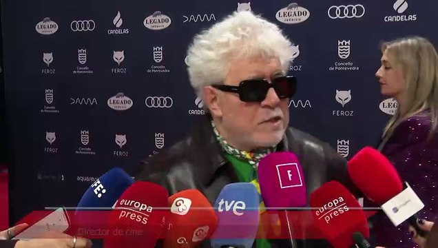 Arranca en Pontevedra la gala de los Premios Feroz en un año extraordinario para el cine