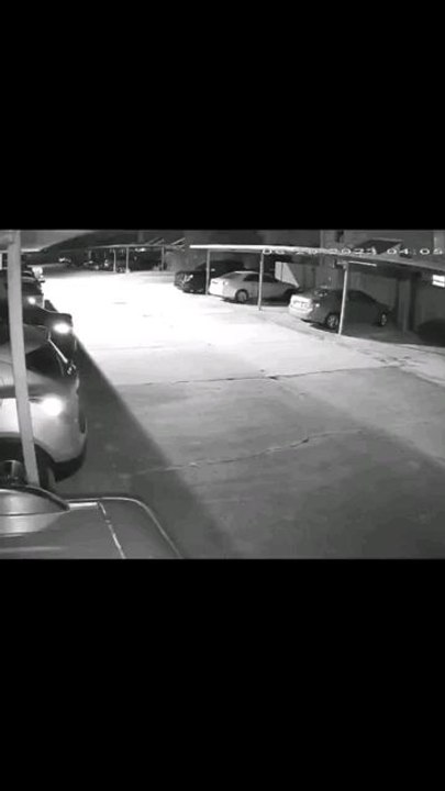 Car Burglars