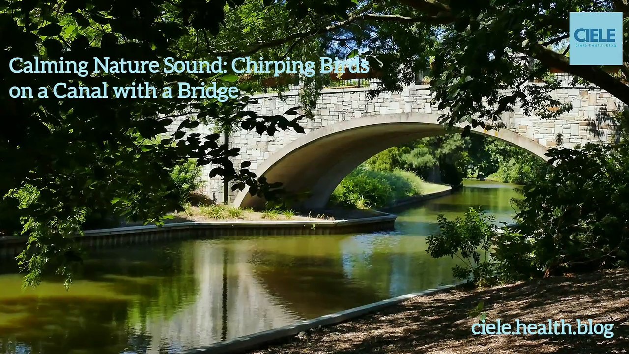 Calming Nature Sound: Chirping Birds on a Canal with a Bridge