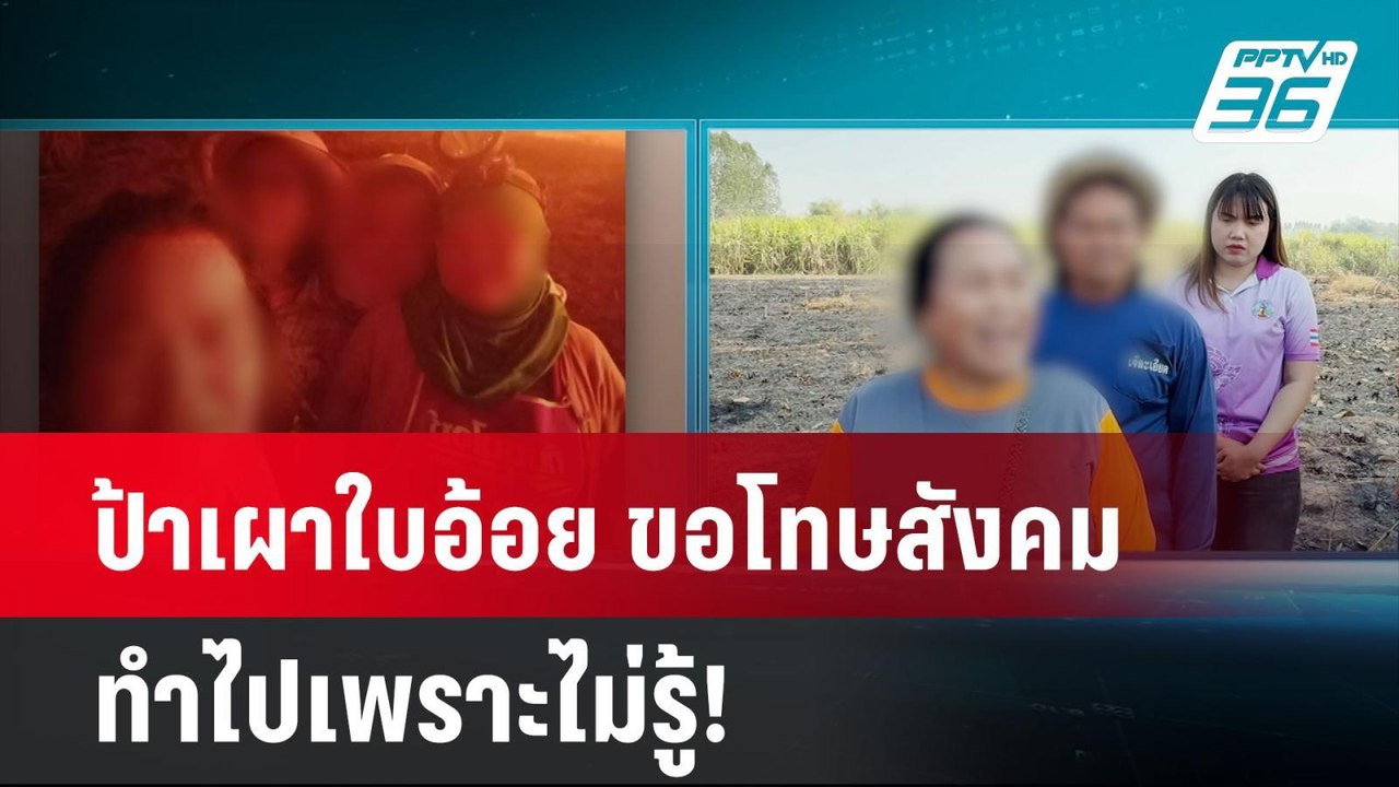 ป้าเผาใบอ้อย ขอโทษสังคม ทำไปเพราะไม่รู้!| ทันข่...