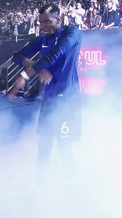 The Artist 💥 POGBA | dailymotion
