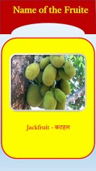 name of fruits l ajay grammar techniques