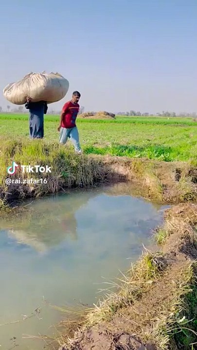 Funny🤣😝😜 video