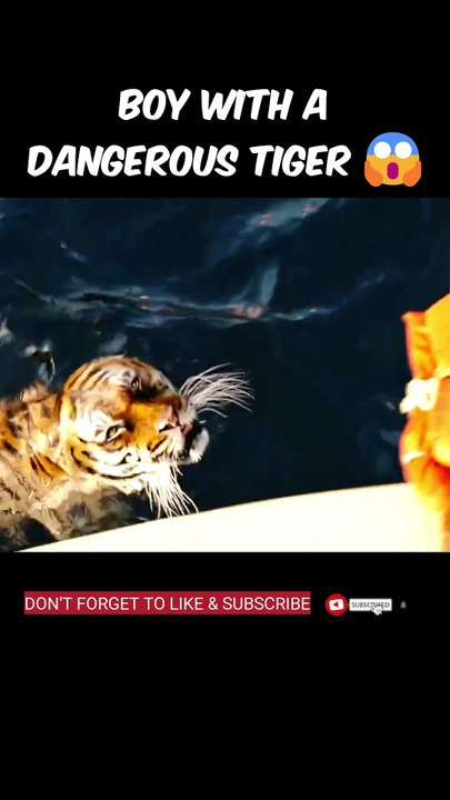 A Boy With A Dangerous Tiger On A Boat #shorts