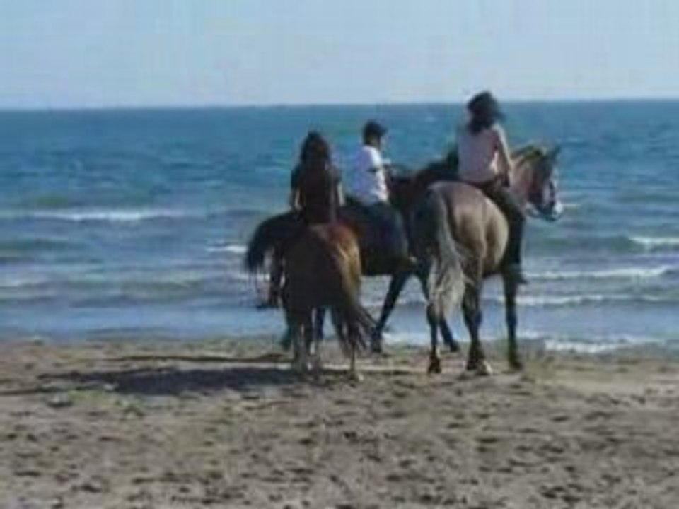 ESCAPADE EN BORD DE MER_0001