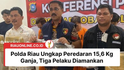 Polda Riau Ungkap Peredaran 15,6 Kg Ganja, Tiga Pelaku Diamankan