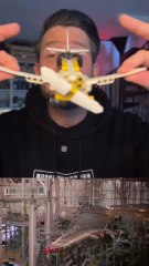 Les ailes de l’avion de se casseront pas !