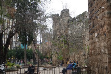 Tarih ve doğa iç içe! Tarihi surların duvarlarına yuva yaptılar  