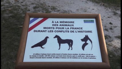 Héros à Quatre Pattes : Ils Ont Changé la Guerre