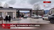 Bursa'da ağaç soyma makinesine kollarını kaptırdı