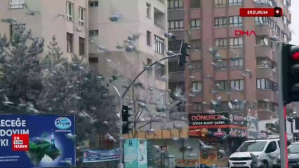 Erzurum'da soğuk hava etkili oluyor