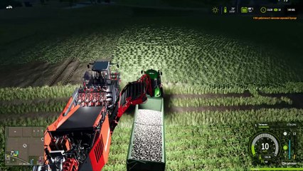 Farming Simulator 25 Сбор урожая (Пастернак)