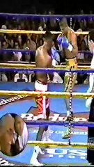 Fernando Vargas vs Anthony Stephens