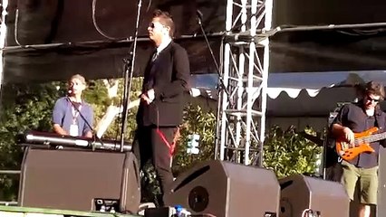 The Brown Hornet - Foccacia