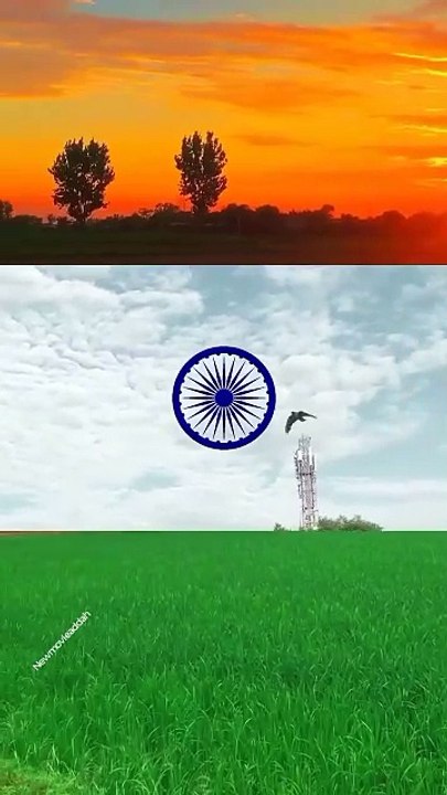 26 January 2025 #republicday #trending #viralvideo #shortvideo #ytshorts #26january