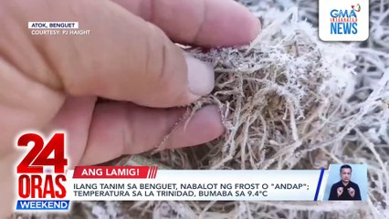 Ilang pananim ng mga magsasaka sa Benguet, nabalot ng frost o "andap"; temperatura sa La Trinidad, bumaba sa 9.4°C | 24 Oras Weekend