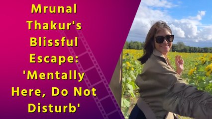 Mrunal Thakur Takes a Mental Break, Posts 'Do Not Disturb' Message