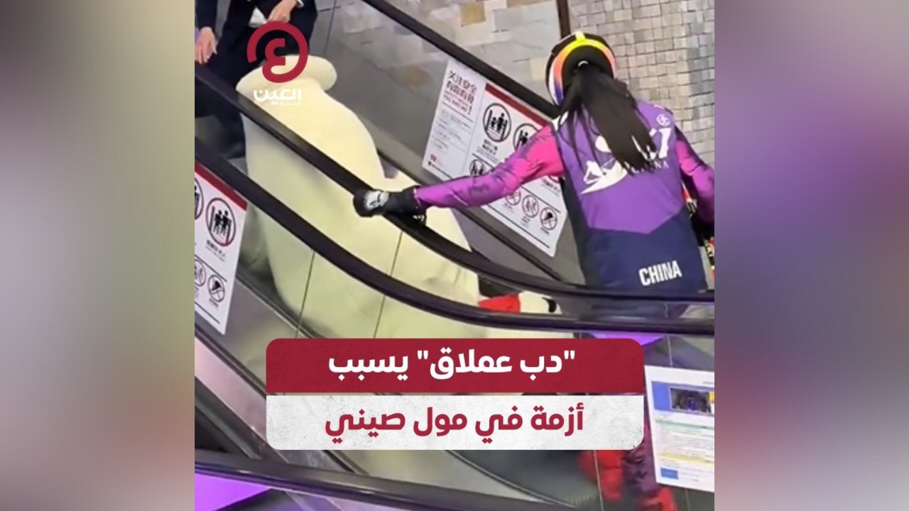 "دب عملاق" يسبب أزمة في مول صيني