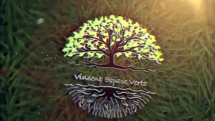 Vincent Espace Verts - Bouillie bordelaise