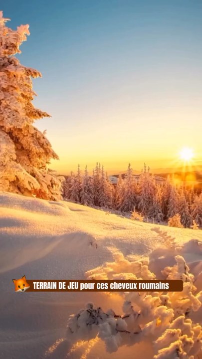 MERVEILLEUX sunset sur Apuseni