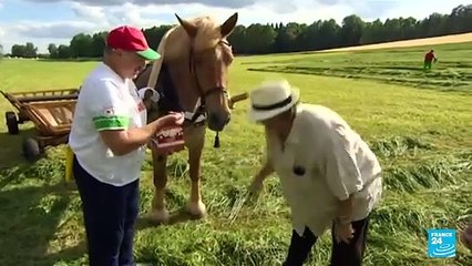 Elecciones en Belarús: ¿Quién es Alexander Lukashenko?