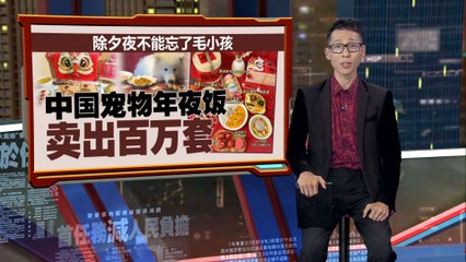 中国宠物店推出豪华“宠物年夜饭”套餐，连狗都比主人吃得更好！🐶