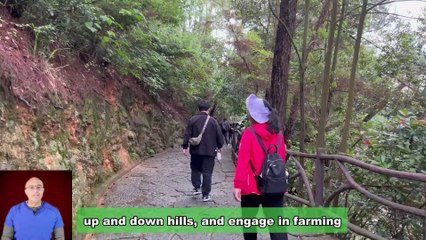 Walking Your Way to Better Health: Simply Everything You Need to Know