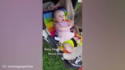 Animals are Perfect Companions for Child