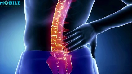 How to Straighten Your Spine with Exercise | 9 Simple Moves for Better Posture