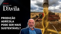 Ambientalista analisa agricultura sustentável no Brasil | ENTREVISTA COM D'AVILA