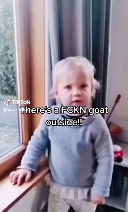 IT'S A GOAT NO ITS A F*CKING GOAT 😂