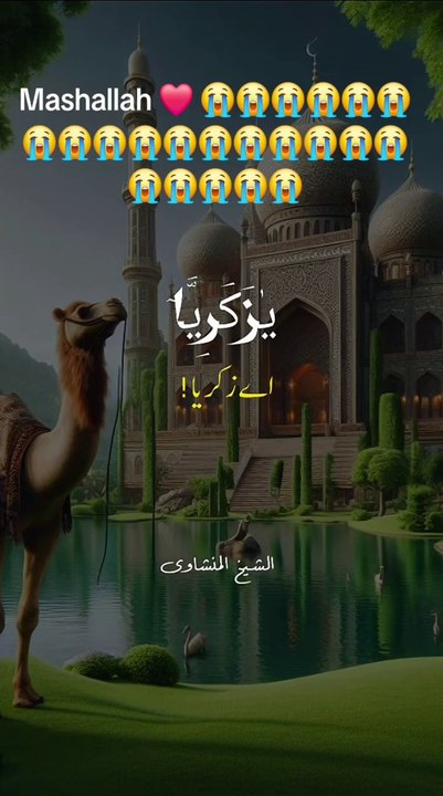 Talawat_e_quranpak Urdu Translation |
