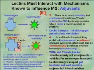 The Paleo Diet and Multiple Sclerosis (MS)Part 3/4