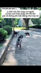 If the enemy doesn't move, we won't move