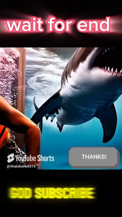 Trending sharks 🦈🦈🦈