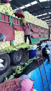 #viralvideo #trindings #youtubeshorts #shortvideo #urdupoetry #lslamic #tiktok #quotes #shafa#foryou